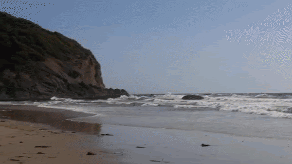 Example of standard video cut