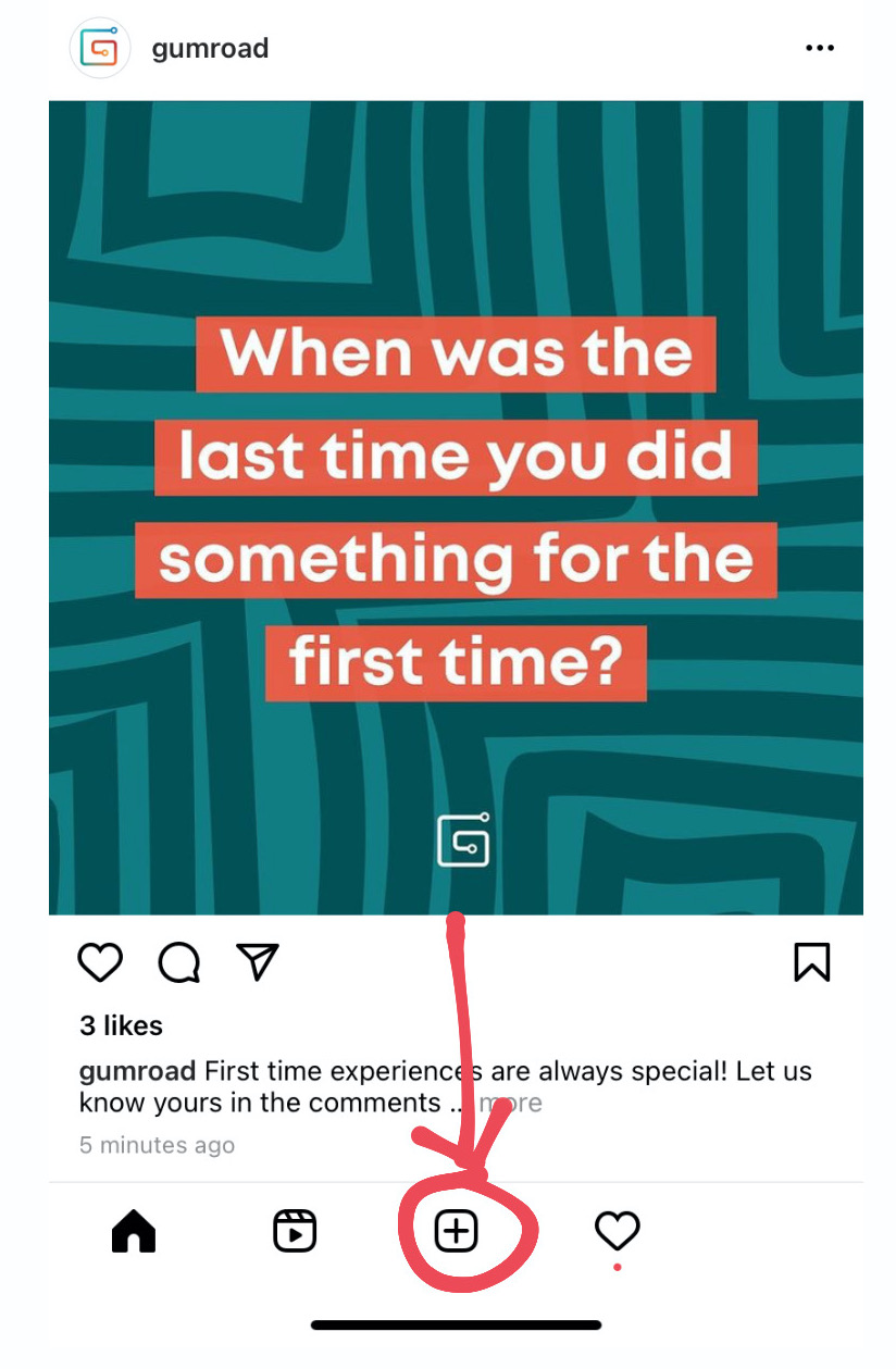 Instagram Feed Video