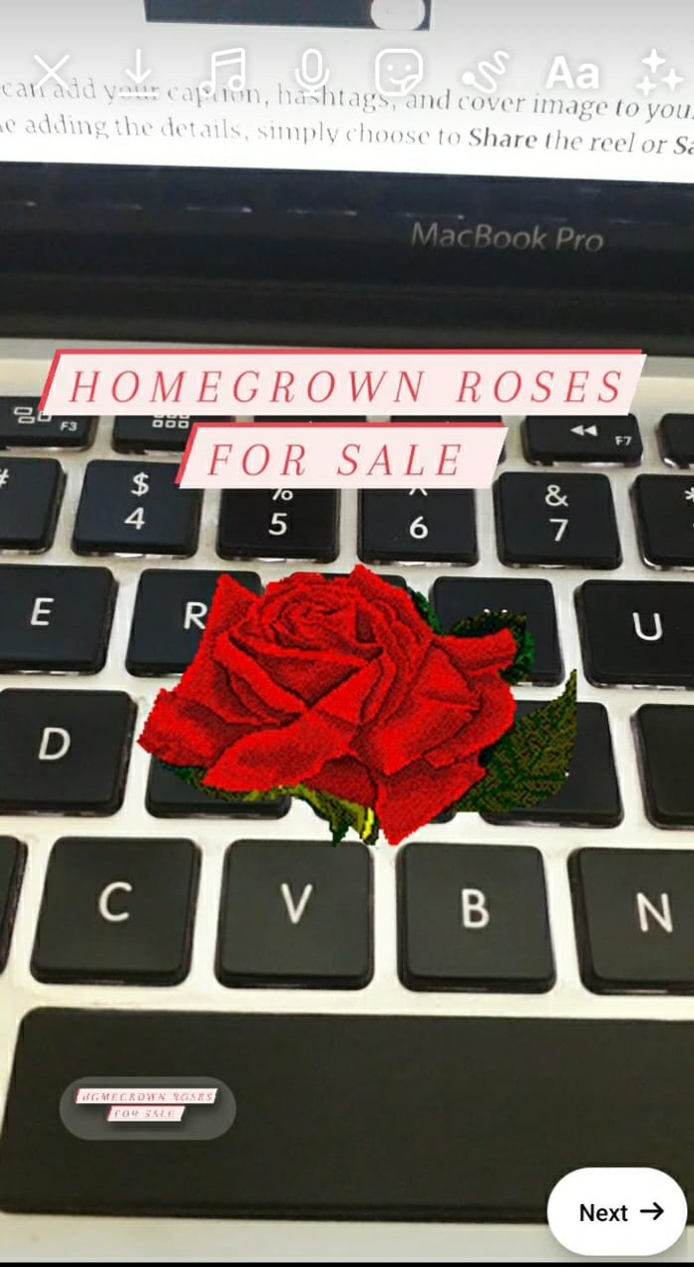 How To Create Reels From The Instagram App Itself_Step 3