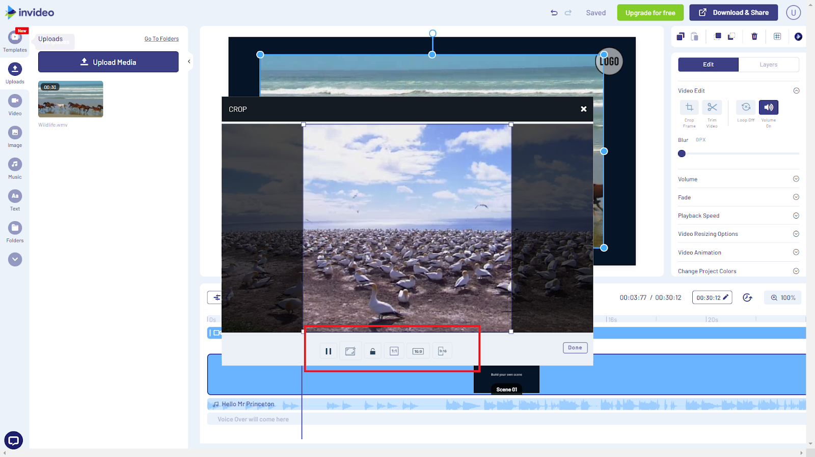 How to crop a video_invideo_step4