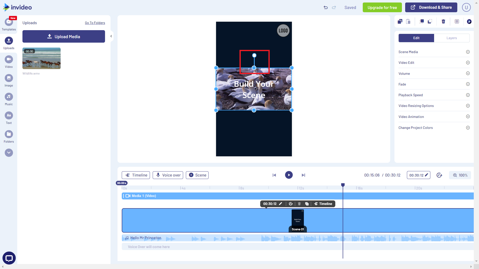 rotate videos with invideo - step4