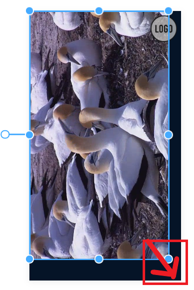 rotate videos with invideo - step6
