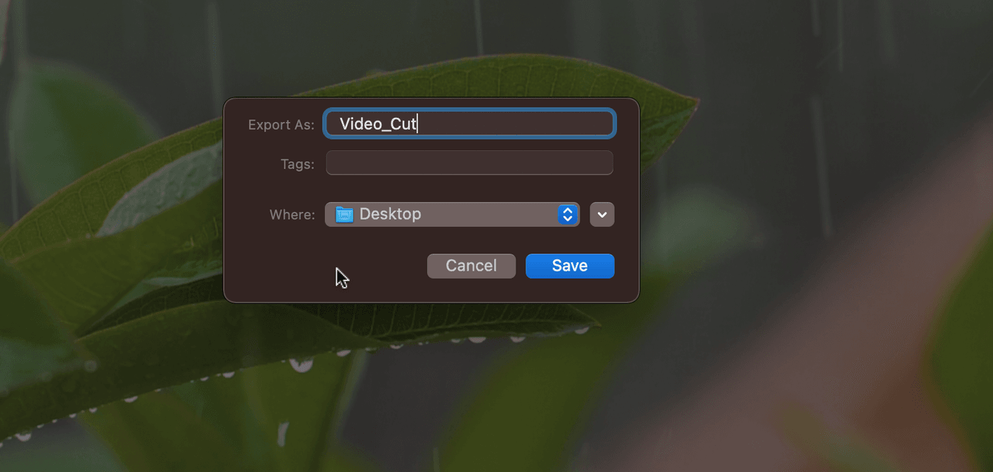 How to cut YouTube videos on Mac_step 5