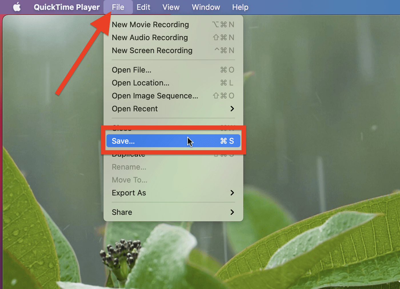 How to cut YouTube videos on Mac_step 4