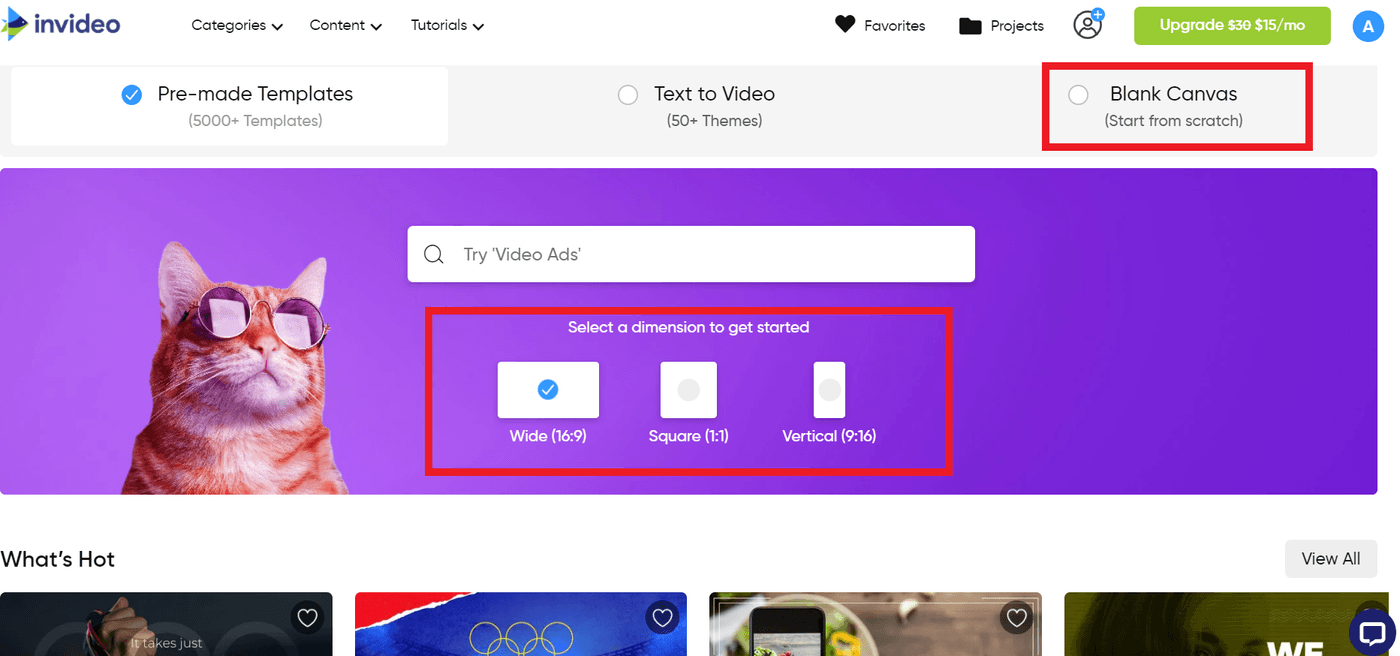 InVideo Blank Template
