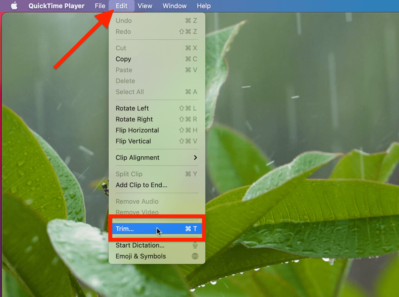 How to cut YouTube videos on Mac_step 2